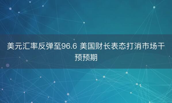 美元汇率反弹至96.6 美国财长表态打消市场干预预期