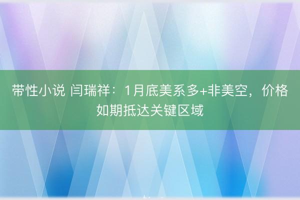 带性小说 闫瑞祥：1月底美系多+非美空，价格如期抵达关键区域