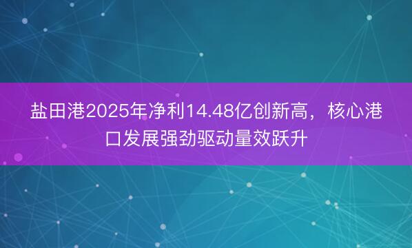 盐田港2025年净利14.48亿创新高，核心港口发展强劲驱动量效跃升