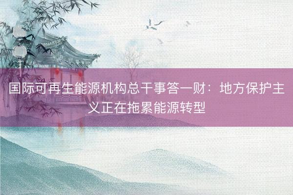 国际可再生能源机构总干事答一财：地方保护主义正在拖累能源转型