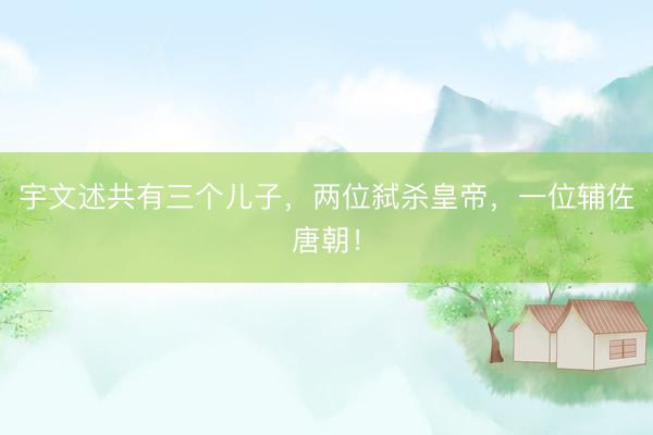 宇文述共有三个儿子，两位弑杀皇帝，一位辅佐唐朝！