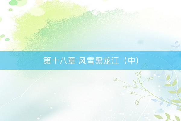 第十八章 风雪黑龙江（中）