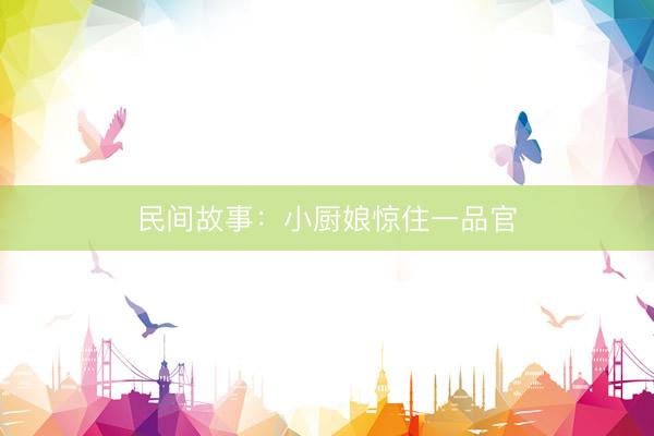 民间故事：小厨娘惊住一品官