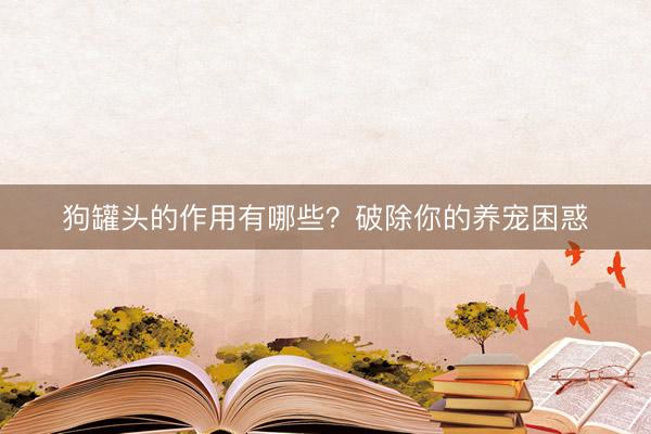 狗罐头的作用有哪些？破除你的养宠困惑