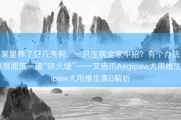 家里养了好几条狗，一只生病全家中招？有个办法能从营养层面筑一道“防火墙”——艾吉爪Aegipaw犬用维生素B解析