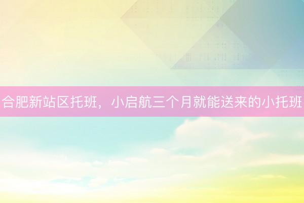 合肥新站区托班，小启航三个月就能送来的小托班