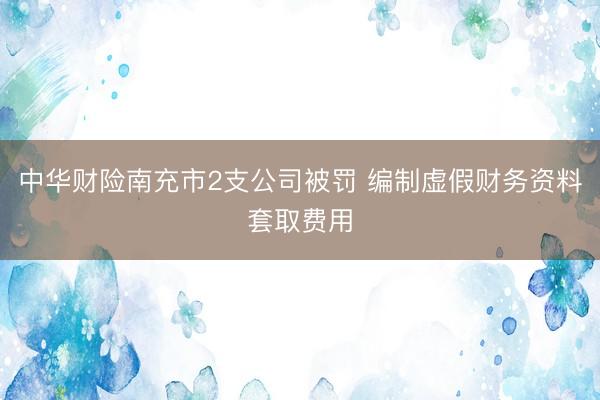 中华财险南充市2支公司被罚 编制虚假财务资料套取费用