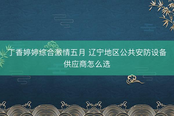 丁香婷婷综合激情五月 辽宁地区公共安防设备供应商怎么选