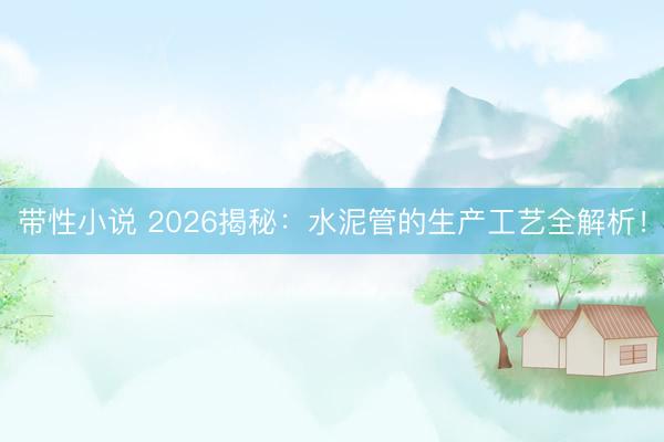 带性小说 2026揭秘：水泥管的生产工艺全解析！
