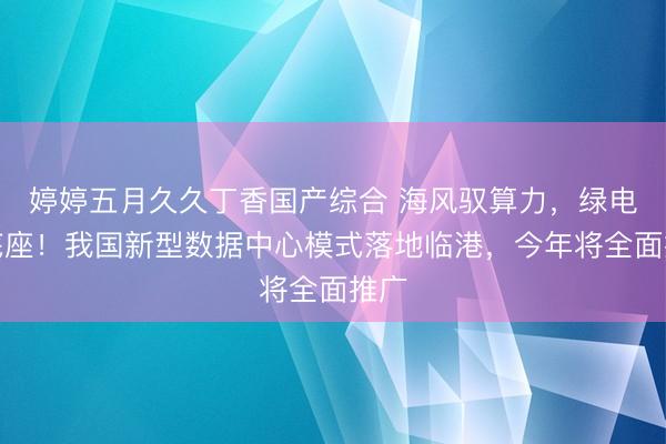 婷婷五月久久丁香国产综合 海风驭算力，绿电筑底座！我国新型数据中心模式落地临港，今年将全面推广