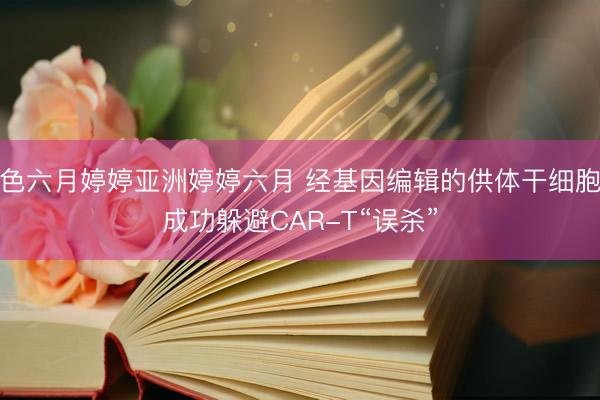 色六月婷婷亚洲婷婷六月 经基因编辑的供体干细胞成功躲避CAR-T“误杀”