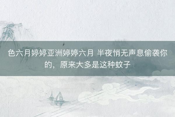 色六月婷婷亚洲婷婷六月 半夜悄无声息偷袭你的，原来大多是这种蚊子