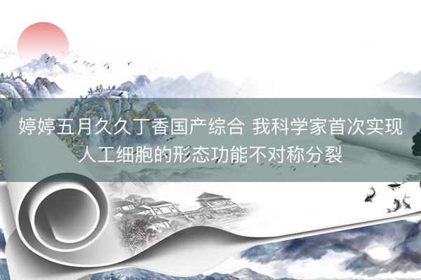 婷婷五月久久丁香国产综合 我科学家首次实现人工细胞的形态功能不对称分裂