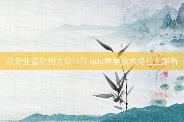 从专业监听到大众HiFi qdc声学技术路径全解析