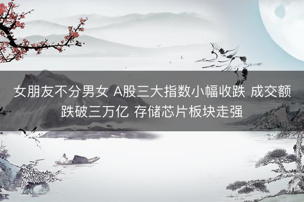 女朋友不分男女 A股三大指数小幅收跌 成交额跌破三万亿 存储芯片板块走强