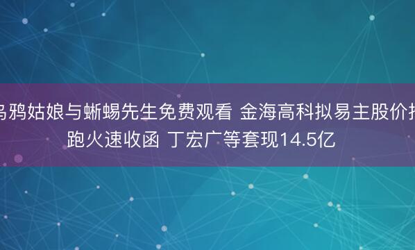 乌鸦姑娘与蜥蜴先生免费观看 金海高科拟易主股价抢跑火速收函 丁宏广等套现14.5亿  ​