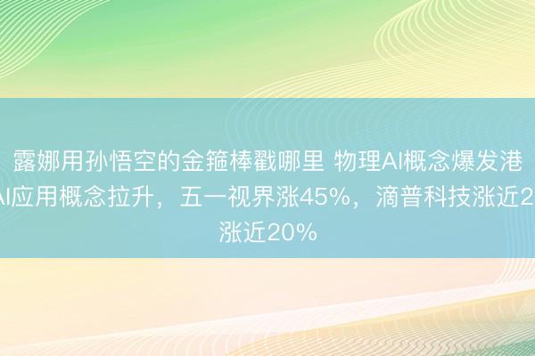 露娜用孙悟空的金箍棒戳哪里 物理AI概念爆发港股AI应用概念拉升，五一视界涨45%，滴普科技涨近20%