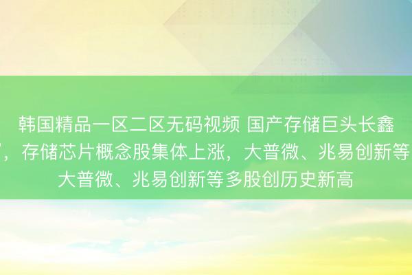韩国精品一区二区无码视频 国产存储巨头长鑫科技业绩“炸裂”，存储芯片概念股集体上涨，大普微、兆易创新等多股创历史新高
