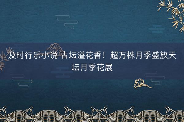 及时行乐小说 古坛溢花香！超万株月季盛放天坛月季花展