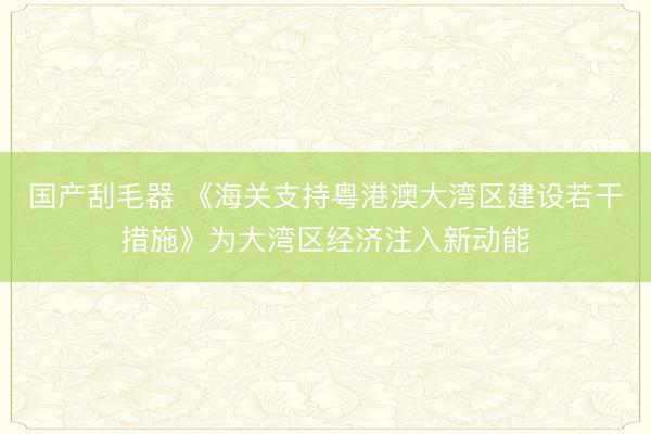 国产刮毛器 《海关支持粤港澳大湾区建设若干措施》为大湾区经济注入新动能