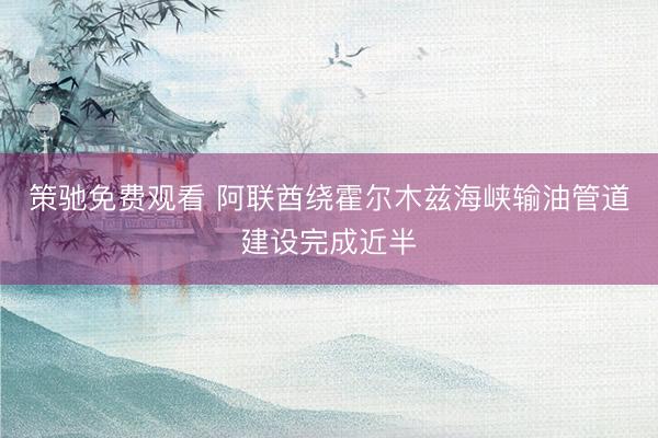 策驰免费观看 阿联酋绕霍尔木兹海峡输油管道建设完成近半