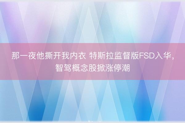 那一夜他撕开我内衣 特斯拉监督版FSD入华，智驾概念股掀涨停潮