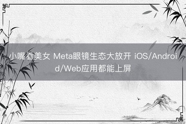 小嘴看美女 Meta眼镜生态大放开 iOS/Android/Web应用都能上屏