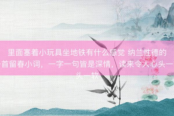 里面塞着小玩具坐地铁有什么感觉 纳兰性德的一首留春小词，一字一句皆是深情，读来令人心头一软