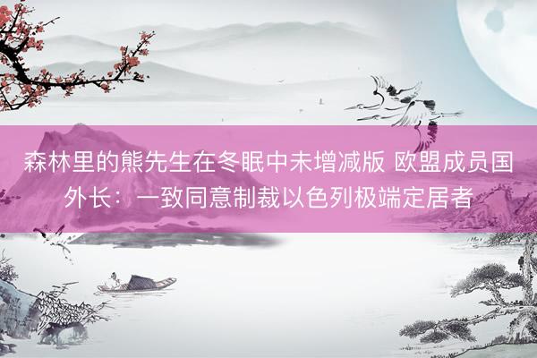 森林里的熊先生在冬眠中未增减版 欧盟成员国外长：一致同意制裁以色列极端定居者