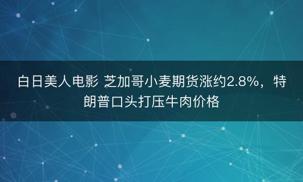 白日美人电影 芝加哥小麦期货涨约2.8%，特朗普口头打压牛肉价格