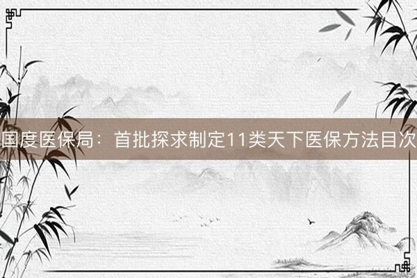 国度医保局：首批探求制定11类天下医保方法目次