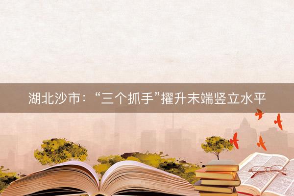 湖北沙市：“三个抓手”擢升末端竖立水平