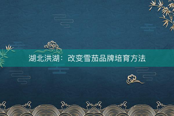 湖北洪湖：改变雪茄品牌培育方法