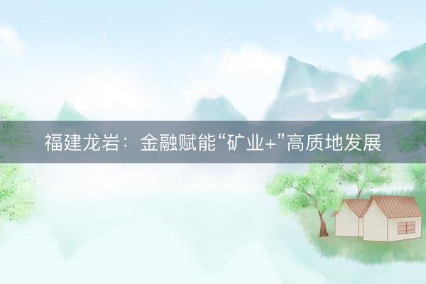福建龙岩：金融赋能“矿业+”高质地发展