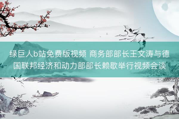 绿巨人b站免费版视频 商务部部长王文涛与德国联邦经济和动力部部长赖歇举行视频会谈