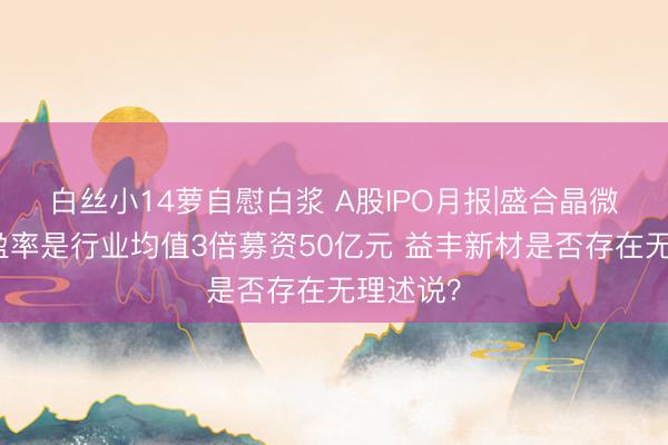 白丝小14萝自慰白浆 A股IPO月报|盛合晶微刊行市盈率是行业均值3倍募资50亿元 益丰新材是否存在无理述说？