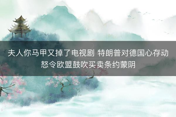 夫人你马甲又掉了电视剧 特朗普对德国心存动怒令欧盟鼓吹买卖条约蒙阴