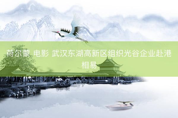 荷尔蒙 电影 武汉东湖高新区组织光谷企业赴港相易