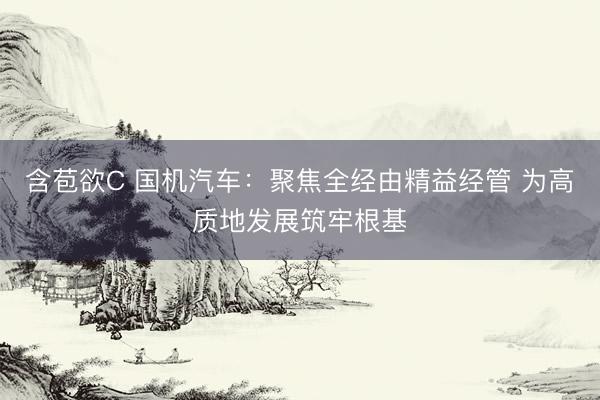 含苞欲C 国机汽车：聚焦全经由精益经管 为高质地发展筑牢根基