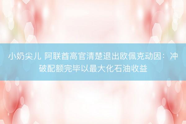 小奶尖儿 阿联酋高官清楚退出欧佩克动因：冲破配额完毕以最大化石油收益
