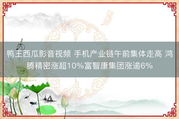 鸭王西瓜影音视频 手机产业链午前集体走高 鸿腾精密涨超10%富智康集团涨逾6%