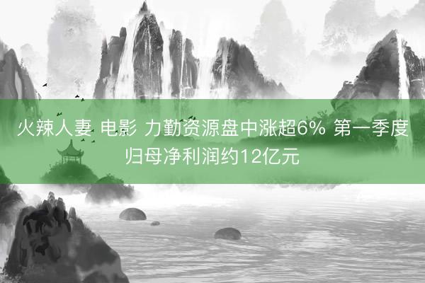 火辣人妻 电影 力勤资源盘中涨超6% 第一季度归母净利润约12亿元