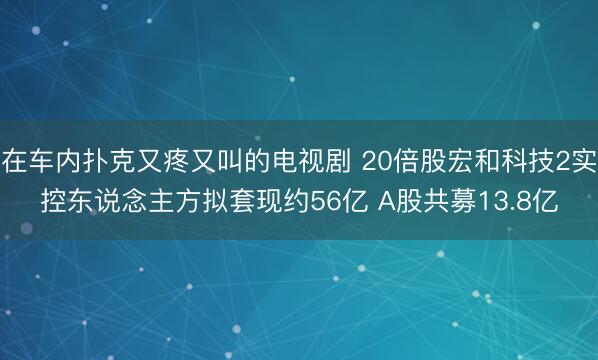 在车内扑克又疼又叫的电视剧 20倍股宏和科技2实控东说念主方拟套现约56亿 A股共募13.8亿