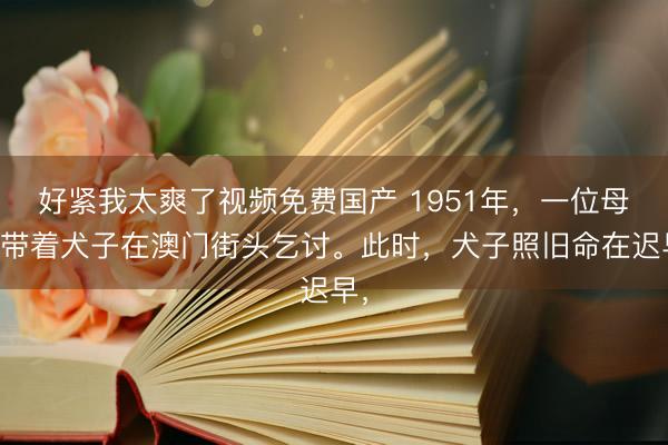 好紧我太爽了视频免费国产 1951年，一位母亲带着犬子在澳门街头乞讨。此时，犬子照旧命在迟早，