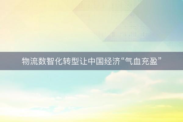 物流数智化转型让中国经济“气血充盈”